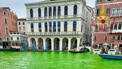 Экоактивисты спустя два года снова окрасили воду главного канала Венеции в зелёный цвет