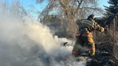 Сразу в нескольких районах Акмолинской области загорелся сухостой