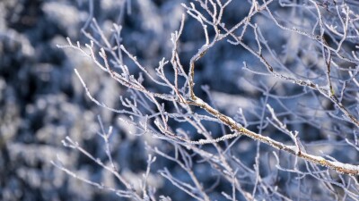 Прогноз погоды на 30 декабря: дожди и туманы ожидаются в нескольких регионах Казахстана