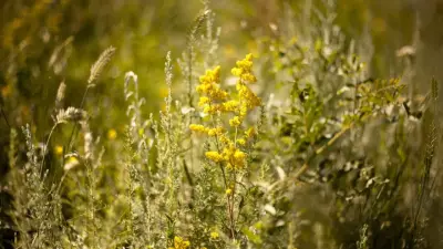 Прогноз погоды на 10 августа: в Казахстане ожидается тёплая погода, местами дожди и грозы