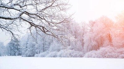 Прогноз погоды на 17 ноября: дожди ожидаются на западе Казахстана