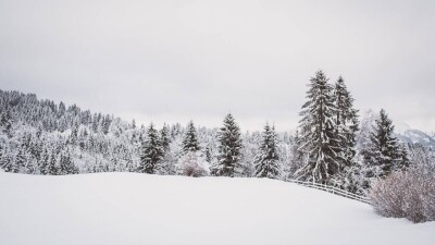 Гололёд, туман и метели: штормовое предупреждение объявили в 14 регионах Казахстана