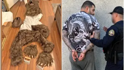 Мужчины в костюме медведя испортили три авто премиум-класса ради страховки в США