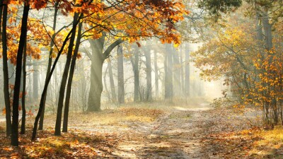 Прогноз погоды на 16 сентября: в ряде областей Казахстана пройдут дожди и грозы