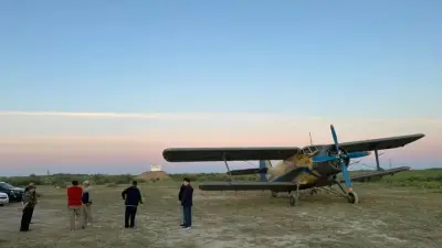 Более 10 тысяч гектаров земли обработали от саранчи в Кызылординской области 