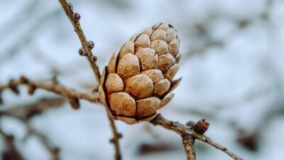 Прогноз погоды на 9 декабря: сильный мороз ожидается в Астане