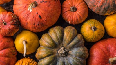 Прогноз погоды на 19 октября: переменная облачность сохранится на большей части территории Казахстана