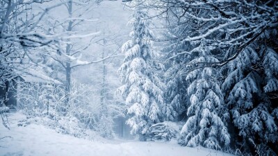 Прогноз погоды на 15 декабря: метели и гололёд ожидаются в нескольких регионах Казахстана