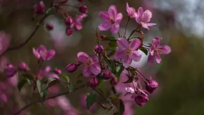 Прогноз погоды на 12 мая: осадков на большей части территории Казахстана не ожидается