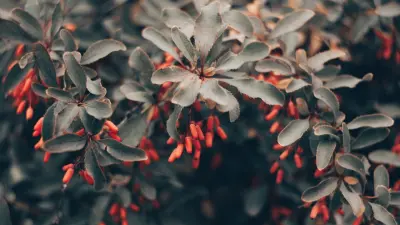 Прогноз погоды на 4 мая: облачная погода сохранится в большинстве регионов Казахстана