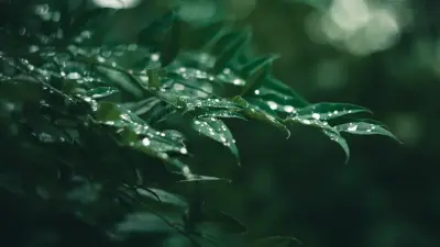 Прогноз погоды на 8 июня: в ряде регионов Казахстана пройдут дожди и грозы