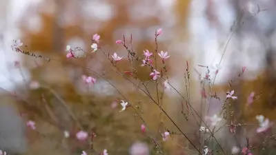 Прогноз погоды на 16 июня: на большей части территории Казахстана сохранится жаркая погода