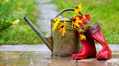 Прогноз погоды на 24 июня: дожди и грозы ожидаются на большей части Казахстана