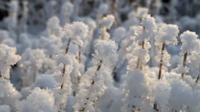 Штормовое предупреждение объявили в Астане и 13 областях на 22 марта
