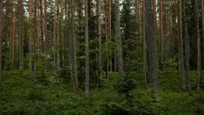 Системы раннего обнаружения пожаров в лесах проверяют в Казахстане