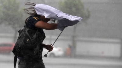 ДЧС Алматы не рекомендует оставлять автомобили под деревьями на ночь