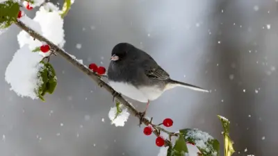 Прогноз погоды на 23 марта: дожди и грозы ожидаются в ряде регионов Казахстана