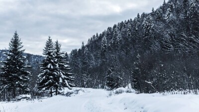 Прогноз погоды на 10 ноября: метели и гололёд ожидаются в нескольких регионах Казахстана