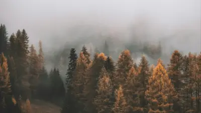 Прогноз погоды на 16 ноября: переменная облачность сохранится на большей части территории Казахстана