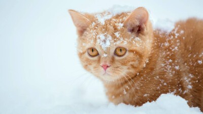 Штормовое предупреждение объявили на большей части территории Казахстана