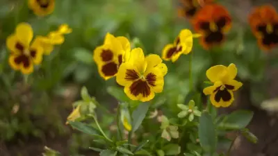 Прогноз погоды на 27 октября: в Казахстане ожидаются дожди и похолодание на севере