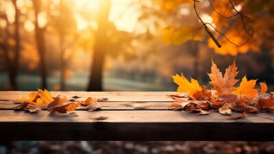 Прогноз погоды на 7 октября: тепло и солнечно будет на большей части Казахстана