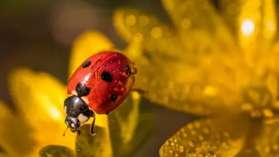 Прогноз погоды на 7 июля: в Казахстане ожидается переменная облачность, местами дожди, грозы и град