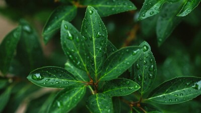 Прогноз погоды на 8 июля: дожди и грозы пройдут на большей Казахстана