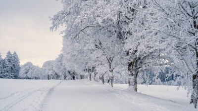 Прогноз погоды на 25 ноября: переменная облачность ожидается на большей части Казахстана