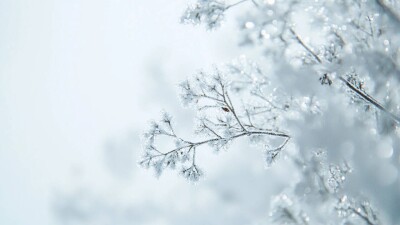 Прогноз погоды на 30 января: снег и метели ожидаются в ряде регионов Казахстана