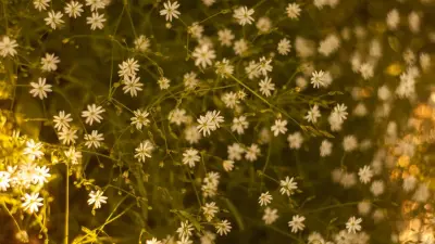 Прогноз погоды на 29 сентября: в ряде регионов Казахстана ожидаются заморозки