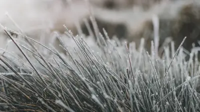 Прогноз погоды на 22 марта: заморозки ожидаются в северных регионах Казахстана
