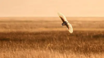 Прогноз погоды на 7 апреля: облачная погода сохранится в большинстве регионов Казахстана