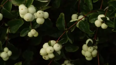 Штормовое предупреждение объявили в 14 регионах Казахстана 17 ноября