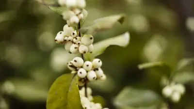 Штормовое предупреждение объявили в 14 регионах Казахстана 3 ноября