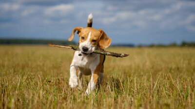 Прогноз погоды на 13 июля: облачность сохранится на большей территории Казахстана