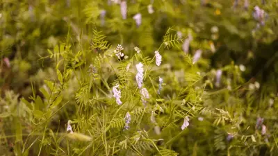 Штормовое предупреждение объявили в 15 регионах Казахстана на 11 августа