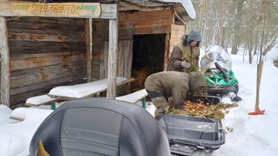 В охотничьих угодьях Акмолинской области подкармливают диких животных