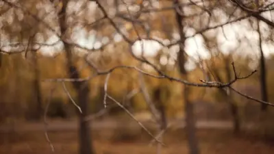 Штормовое предупреждение объявили почти по всей территории Казахстана на 8 сентября