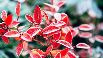 Штормовое предупреждение объявили почти по всей территории Казахстана на 13 октября