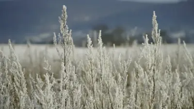Прогноз погоды на 20 марта: переменная облачность сохранится в регионах Казахстана