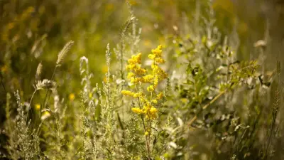 Прогноз погоды на 26 мая: на севере и в центре Казахстана будет прохладно, местами заморозки