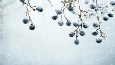 Прогноз погоды на 9 марта: в ряде регионов Казахстана ожидаются метели, туман и гололёд