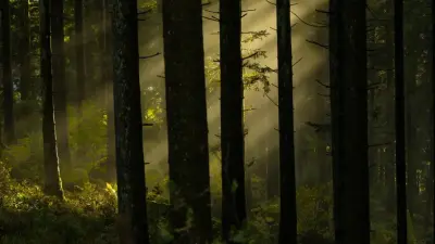 Прогноз погоды на 4 августа: на юге Казахстана будет жарко, на севере и востоке прохладно с осадками