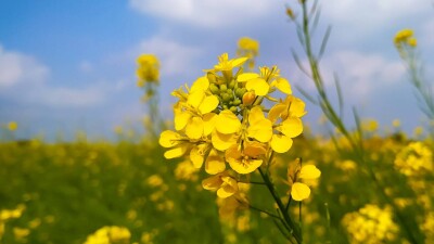 Прогноз погоды на 10 июня: жара сохранится на большей части Казахстана