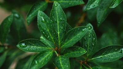 Прогноз погоды на 3 июня: дождь и гроза ожидаются в Усть-Каменогорске, Уральске и Актобе