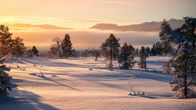 Прогноз погоды на 12 января: метели, гололёд и ветер ожидаются в ряде регионов Казахстана.