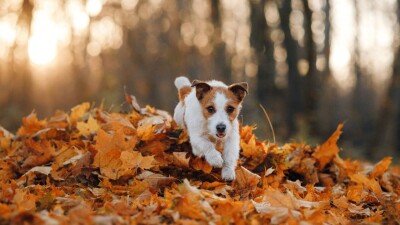 Прогноз погоды на 9 сентября: переменная облачность сохранится на большей территории Казахстана