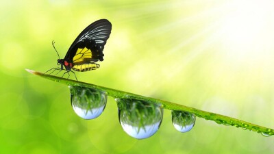 Прогноз погоды на 6 июля: дожди пройдут на большей части Казахстана