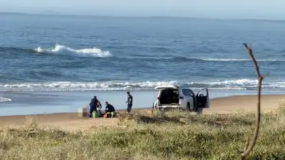 Акула смертельно ранила девушку на пляже в Австралии